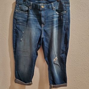 Lane Bryant Capri size 20